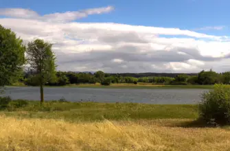 Rutland Water Nature Reserve, Oakham, England