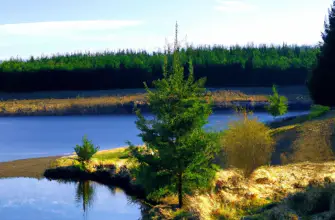 Kielder Water & Forest Park, Northumberland, England