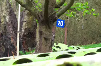 Berkshire Paintball Park, Maidenhead, England