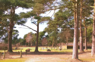 The New Forest Wildlife Park, Southampton, England