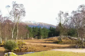 Highland Wildlife Park, The Highlands, Scotland