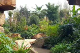 Chester Zoo, Chester, England