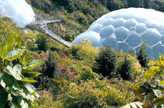 The Eden Project, Cornwall