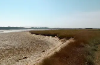 Blakeney Point, Norfolk