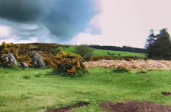 Dartmoor National Park, Devon, England