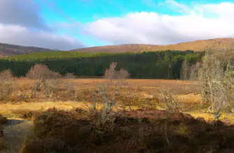 The Cairngorms National Park, Scotland
