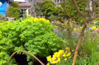 Beatrix Potter's House, Cumbria, England