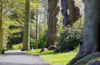 Tatton Park, Cheshire, England