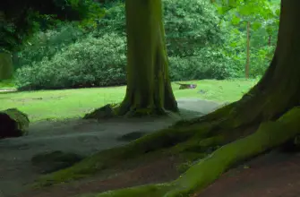 The Monkey Forest, Staffordshire, England