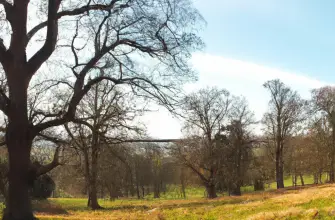Ashridge Estate, Hertfordshire, England