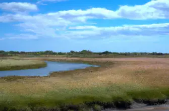 Blakeney National Nature Reserve, Norfolk, England