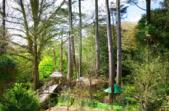 Robin Hill Country Park, Isle of Wight, England