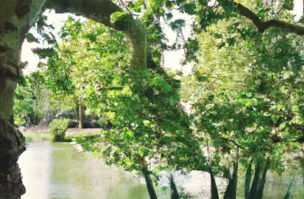 Battersea Park, London, England