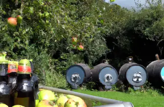 Healey's Cornish Cyder Farm, Cornwall, England