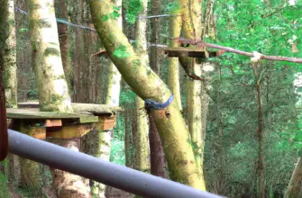 Go Ape Forest Adventure, Various locations, UK