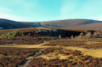 Cairngorms National Park, Scotland