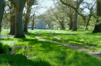 The Vyne, Hampshire, England