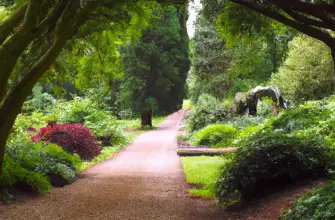 Exbury Gardens, Hampshire, England
