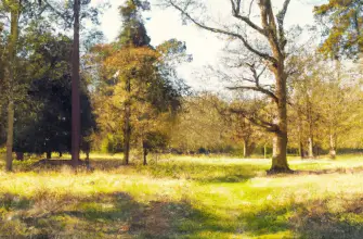 National Trust Clumber Park, Nottinghamshire, England