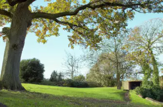 Upton Country Park, Northampton, England