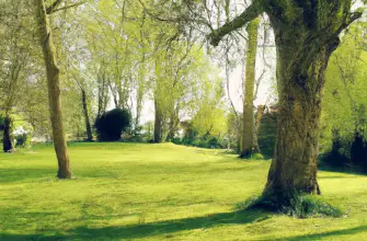 Oxford University Parks, Oxford, England