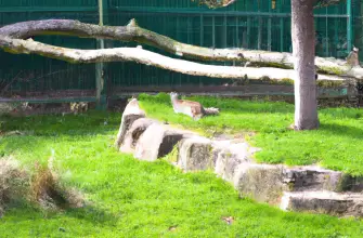 Marwell Zoo, Winchester, Hampshire