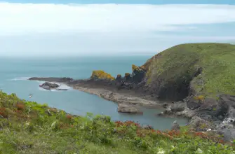 Skomer Island, Pembrokeshire, Wales