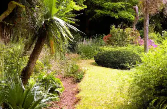 Lost Gardens of Heligan, Cornwall, England