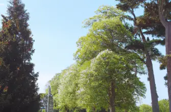 Alexandra Gardens, Windsor, England