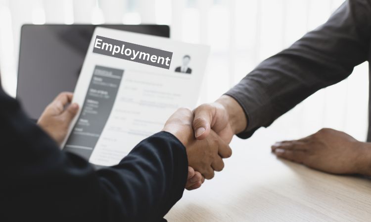 Employment contracts are critical in determining an employee's long-term employment