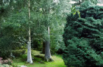 Benmore Botanic Garden, Argyll, Scotland
