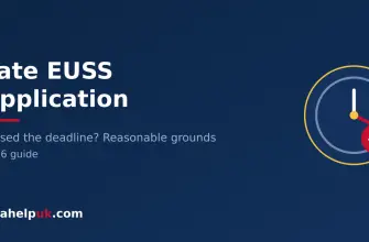 Late EUSS application - clock with still-open check